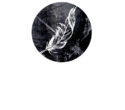 tonal xochitl_logo (web)_light
